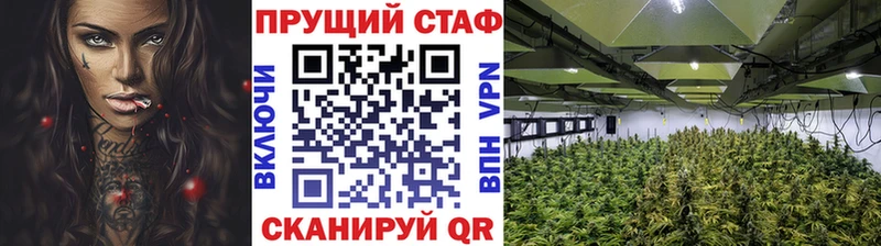Продажа наркотиков Щигры Амфетамин  Марихуана  Мефедрон  Гашиш  МДМА  Alpha-PVP  КОКАИН  Галлюциногенные грибы 