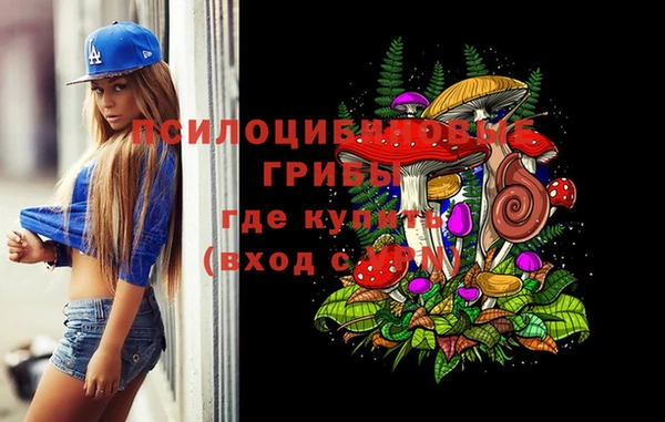apvp Алексеевка