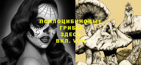 apvp Алексеевка