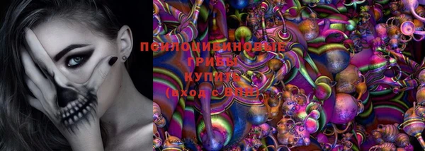 эйфоретик Алзамай