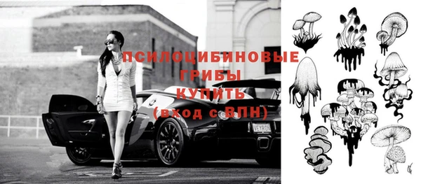 эйфоретик Алзамай